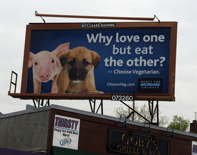 Bold Billboards Promoting Vegetarianism Rise in the Twin Cities - Mercy ...