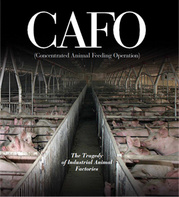 cafo_cover.jpeg