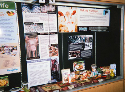 LibraryDisplayDallas1.jpg