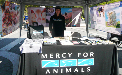 NYCVegFest1.jpg