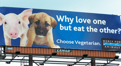 New MFA Billboard Urges Michigan Drivers to Choose Vegetarian - Mercy ...