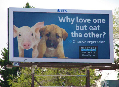 MFA's Pro-Vegetarian Billboards Rise in Denver - Mercy For Animals