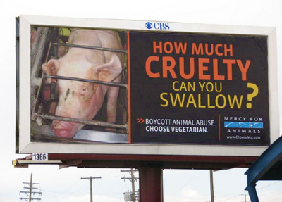 DenverBillboardHMCCYS.jpg