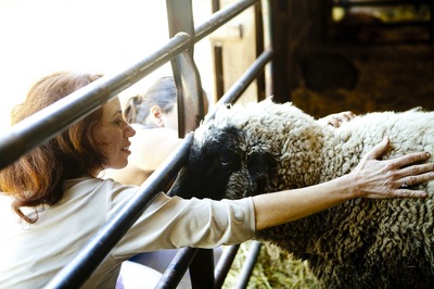 ellenwithsheep.jpg