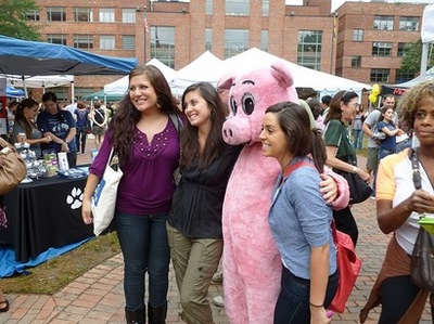 Thumbnail image for piggy.JPG