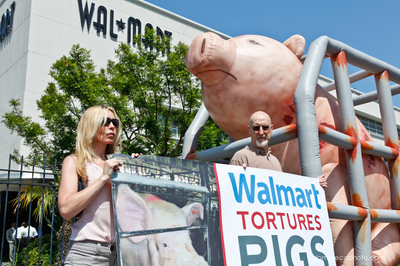 walmart demo-5898.jpg