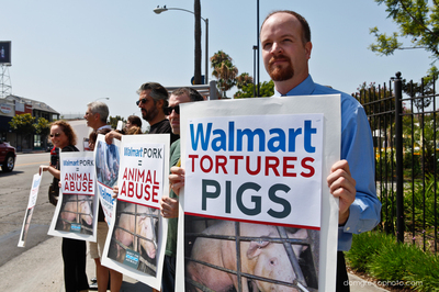 walmart demo-5899.jpg
