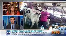 HLNCowAbuse.jpg
