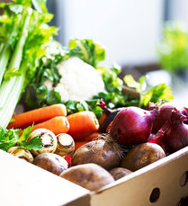 veggie_box_da-ma-te.org_.jpg