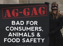 aggag48967.jpg