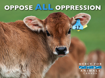 Oppose all oppression.001.jpg