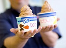 silk-tcby.jpg