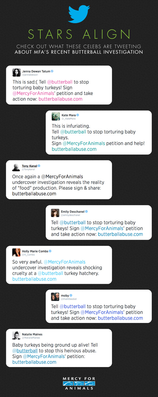 Celebs Tweet About MFA's Butterball Investigation