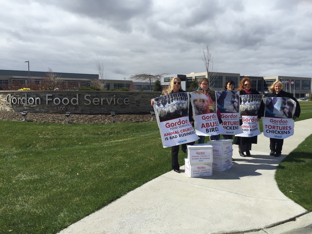 120,000 Signatures Delivered to Gordon Food Service Demanding End to Chicken Torture