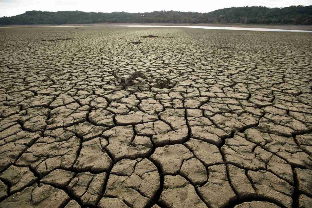 Droughtâ€¦ Brought To You By Meat