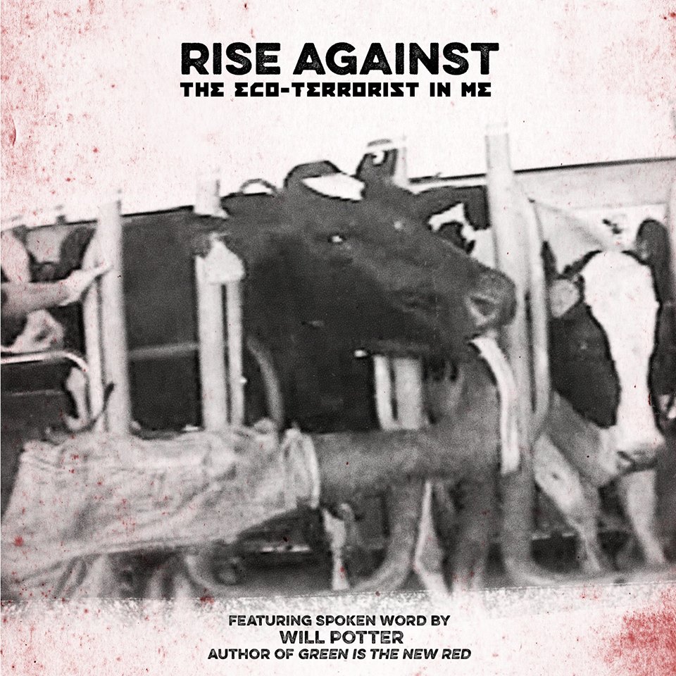 New Rise Against Album Cover Features Photo From MFA Undercover Investigation