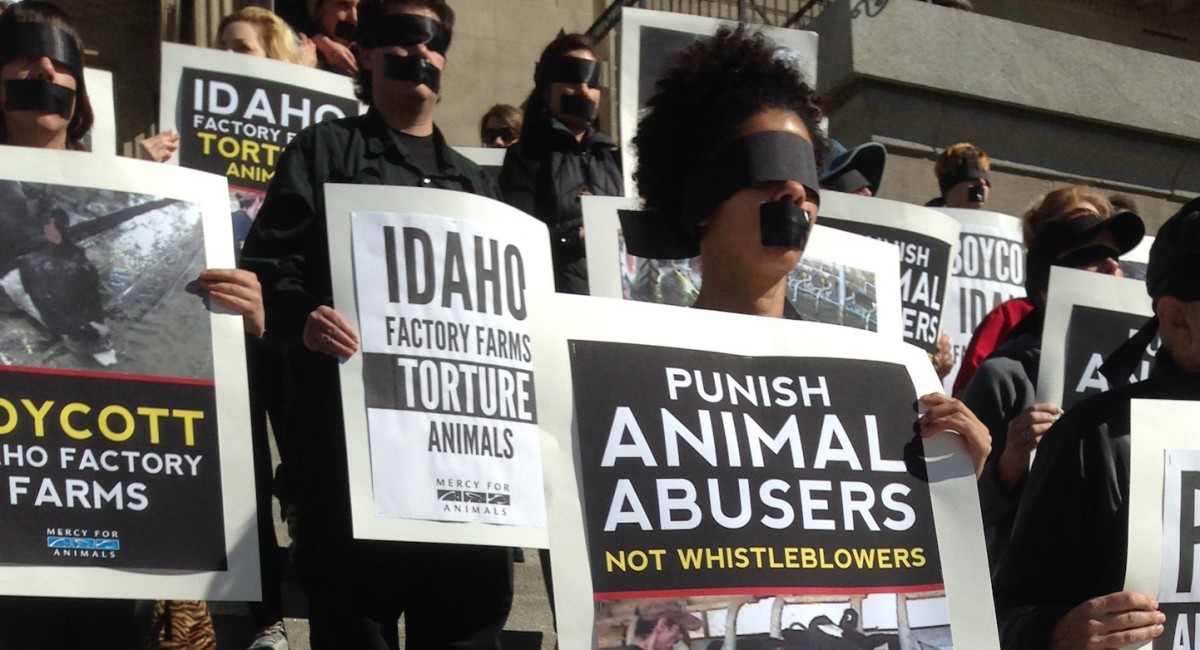 Major Media Outlets Come Out Strong Against Ag-Gag