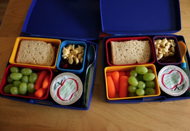 Back to School Tips: Packing Kid-Approved Vegan Lunches - Mercy For Animals