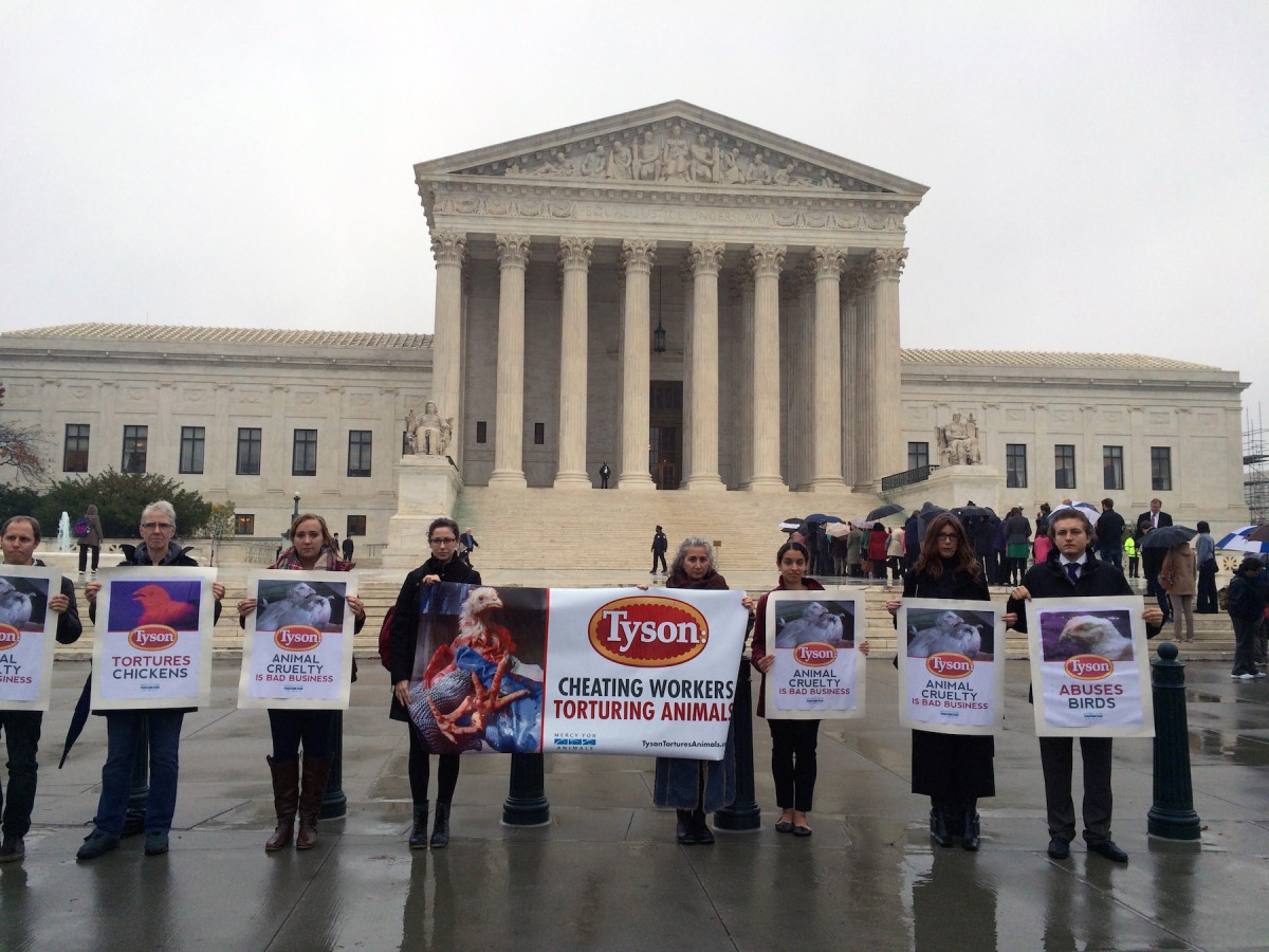 MFA Confronts Tyson Outside U.S. Supreme Court for Abusing Workers, Animals