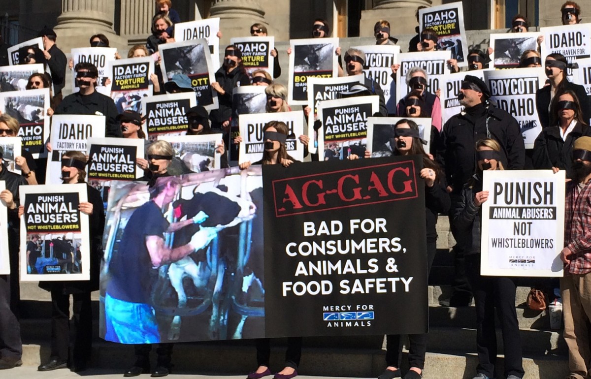 SHAMEFUL: Idaho's Attorney General Fights to Keep Overturned Ag-Gag Law on the Books