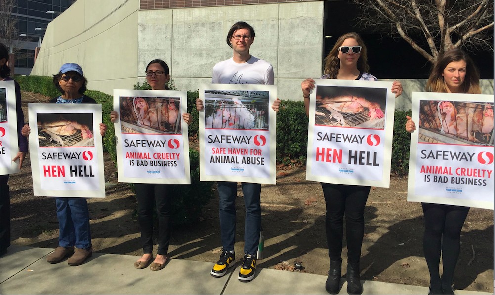 MFA Descends on Safeway HQ to Demand Change for Hens