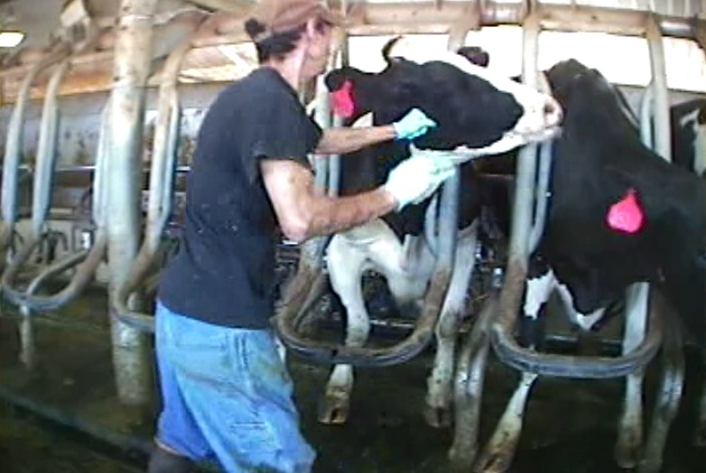 Science Proves Ag-Gag Laws Cause People to Distrust Farmers
