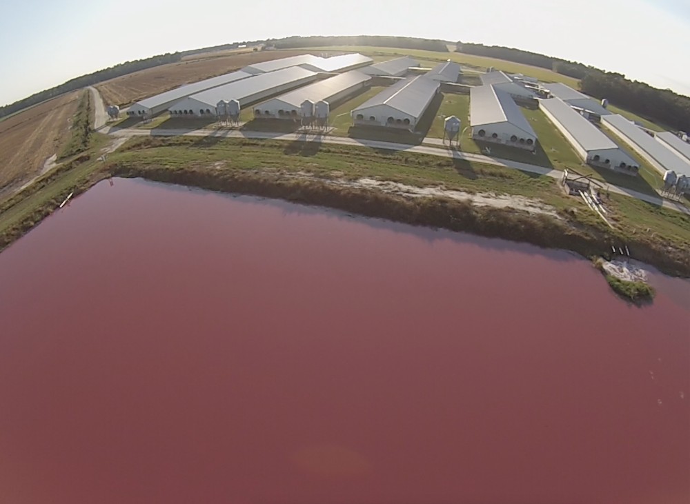 The Next Flint, Michigan? North Carolina Factory Farms Poison Rural Communities