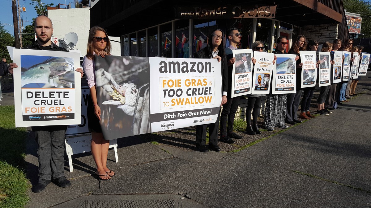 MFA Protests Amazon CEO and Shareholders Over Sale of Liver From Tortured Ducks